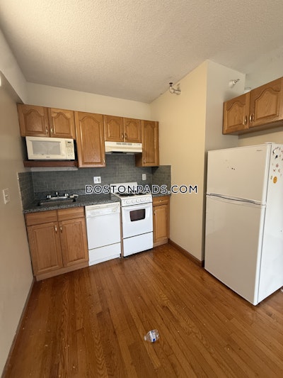 Allston Apartment for rent Studio 1 Bath Boston - $1,875 No Fee