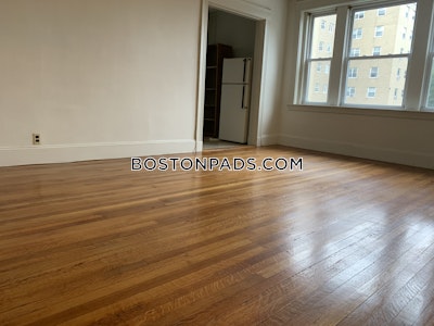 Brighton Apartment for rent Studio 1 Bath Boston - $2,100