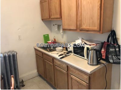 Allston/brighton Border Apartment for rent 1 Bedroom 1 Bath Boston - $2,575 No Fee
