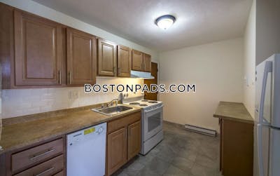 Allston Apartment for rent 1 Bedroom 1 Bath Boston - $2,500