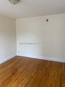 Brighton Apartment for rent 1 Bedroom 1 Bath Boston - $2,400 No Fee