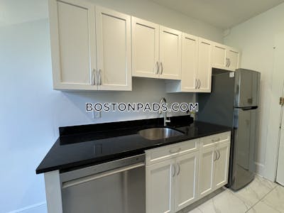 Brighton 1 Bed 1 Bath Boston - $2,990 No Fee