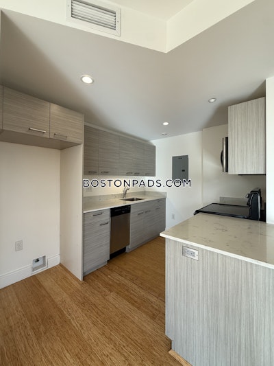 Allston Apartment for rent 2 Bedrooms 2 Baths Boston - $3,300 No Fee