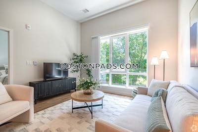 Roslindale 2 bedroom 1 baths Luxury in BOSTON Boston - $3,262 No Fee
