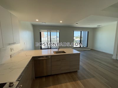 Allston Apartment for rent 2 Bedrooms 2.5 Baths Boston - $3,850 No Fee