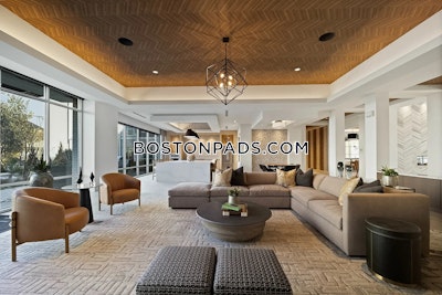 Hyannis 2 bedroom 1 baths Luxury in HYANNIS - $3,548 No Fee