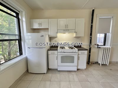 Allston Apartment for rent 1 Bedroom 1 Bath Boston - $2,500 No Fee