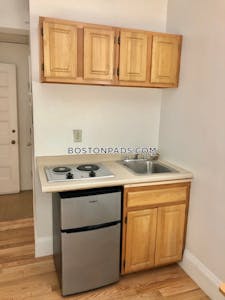 Brookline Apartment for rent Studio 1 Bath  Boston University - $2,095 No Fee