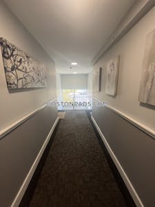 Cambridge Apartment for rent 2 Bedrooms 1 Bath Mt. Auburn/brattle/ Fresh Pond - $2,950 No Fee