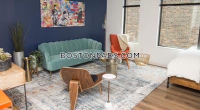 Allston Apartment for rent Studio 1 Bath Boston - $2,995 No Fee