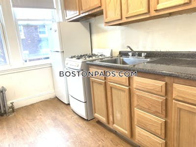 Allston/brighton Border Apartment for rent 1 Bedroom 1 Bath Boston - $2,295 50% Fee