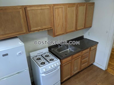 Allston/brighton Border Apartment for rent 1 Bedroom 1 Bath Boston - $2,575 50% Fee