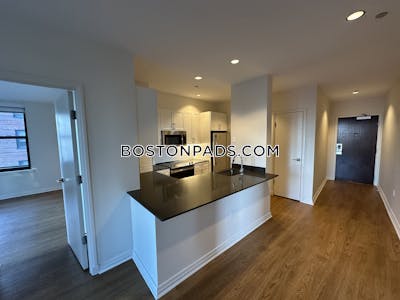 Downtown Apartment for rent 2 Bedrooms 2 Baths Boston - $5,222