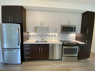 West End Apartment for rent 2 Bedrooms 2 Baths Boston - $5,898