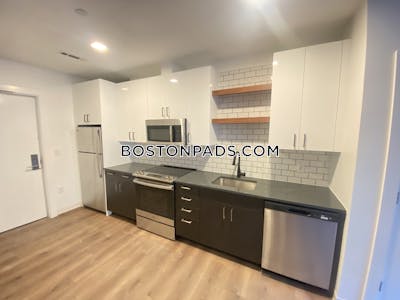 Allston Apartment for rent 2 Bedrooms 2 Baths Boston - $4,475 No Fee