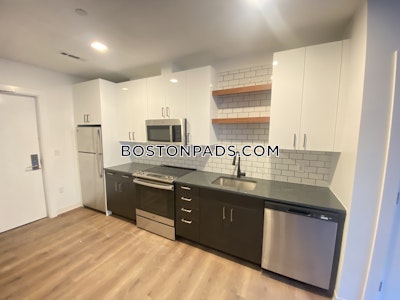 Allston Apartment for rent 2 Bedrooms 2 Baths Boston - $4,475 No Fee