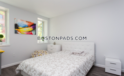 Brighton Apartment for rent 1 Bedroom 1 Bath Boston - $3,300